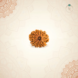 Nepal Origin 10 Mukhi Rudraksha