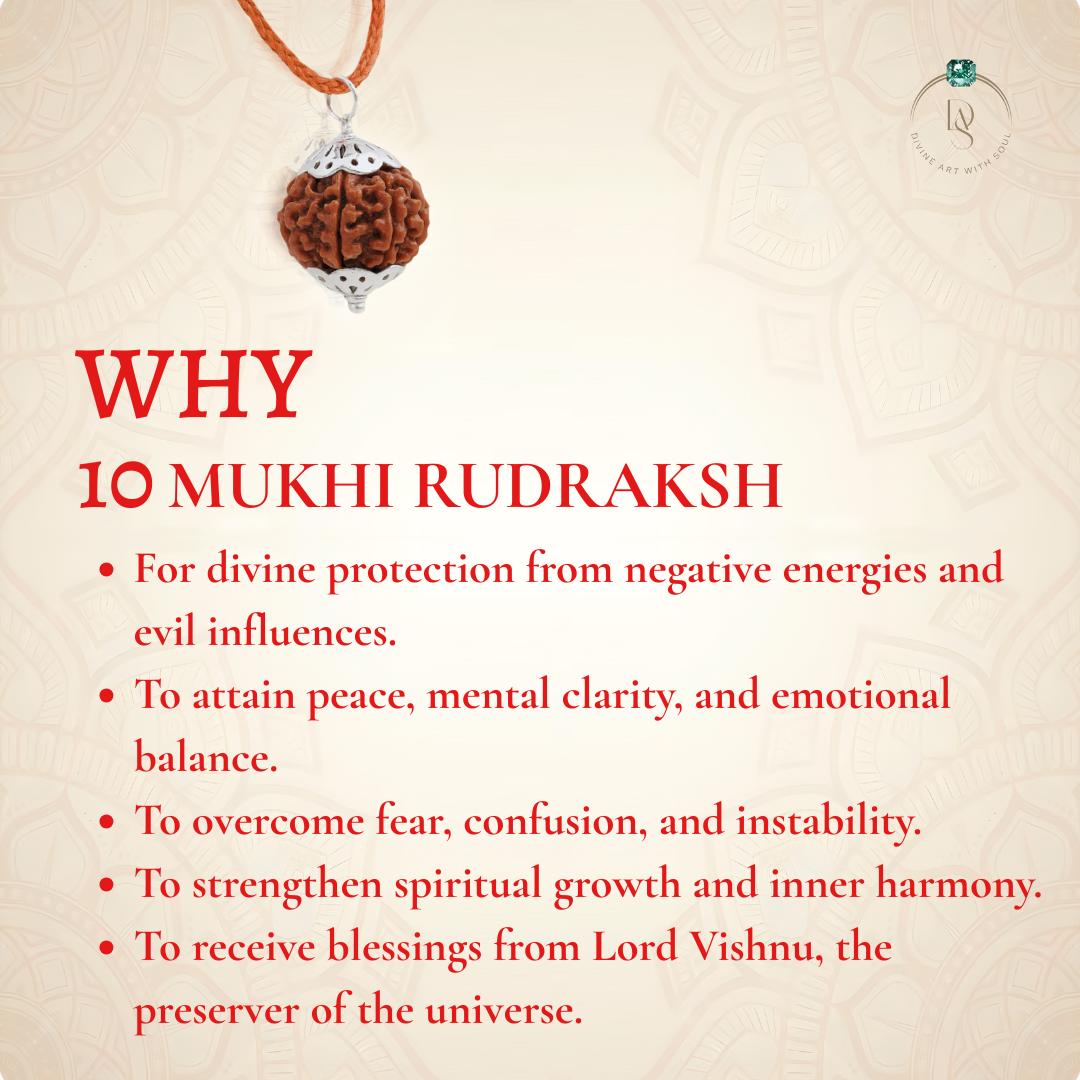 Nepal Origin 10 Mukhi Rudraksha