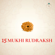 Nepal Origin 15 Mukhi Rudraksha