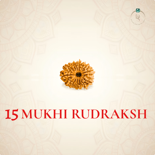 Nepal Origin 15 Mukhi Rudraksha