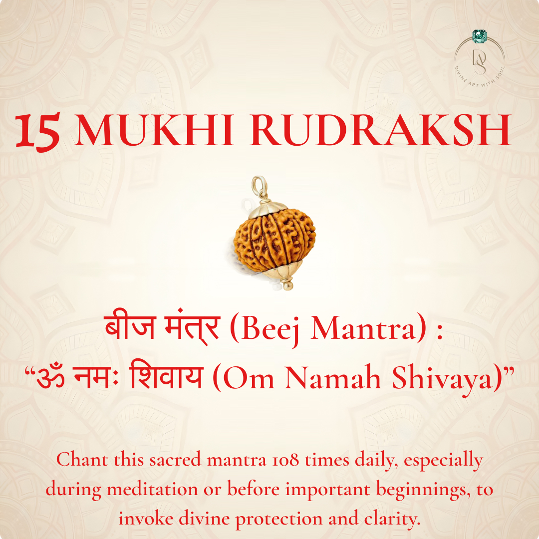 Nepal Origin 15 Mukhi Rudraksha