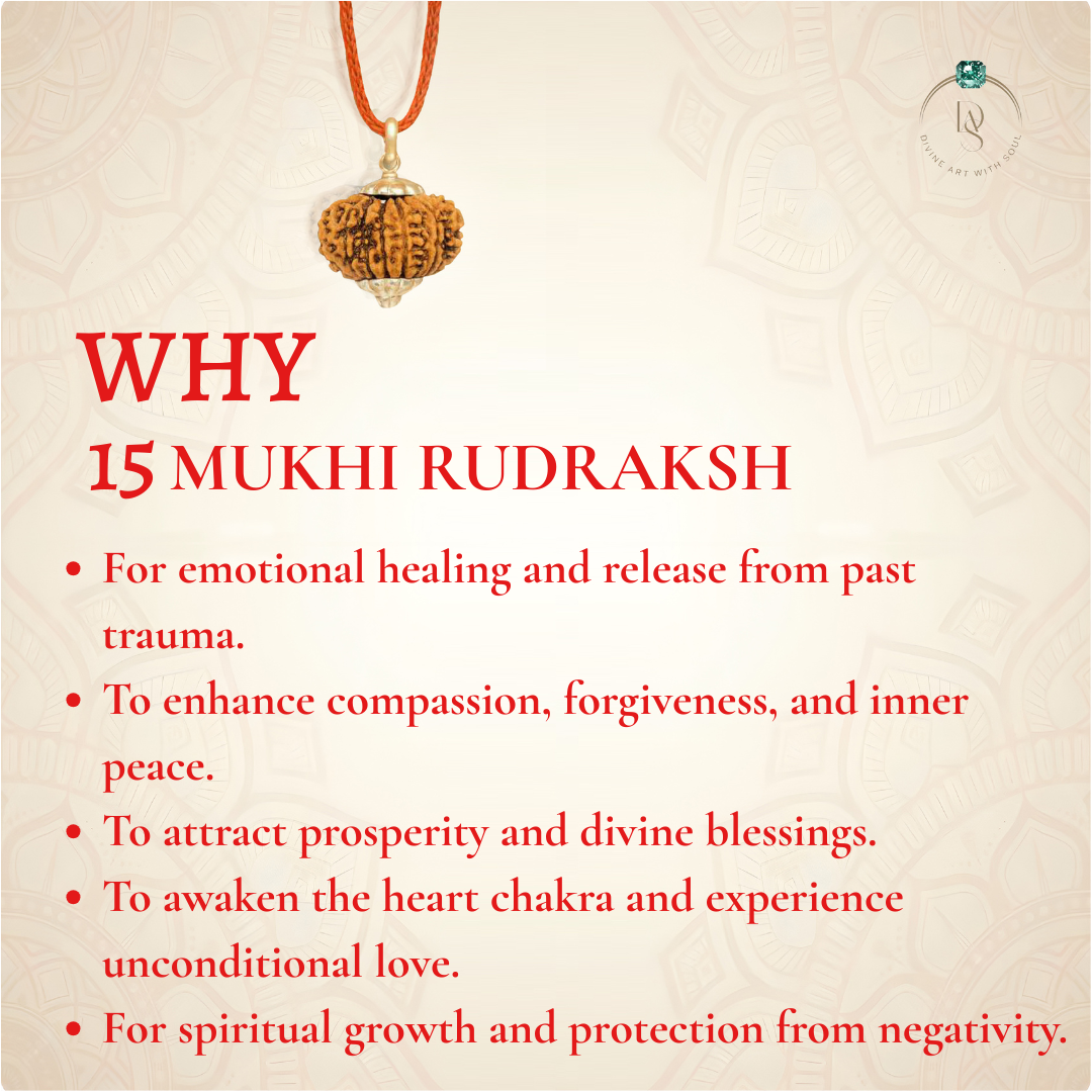 Nepal Origin 15 Mukhi Rudraksha