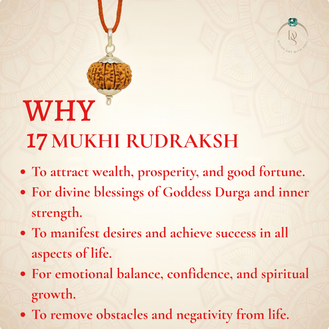 Nepal Origin 17 Mukhi Rudraksha