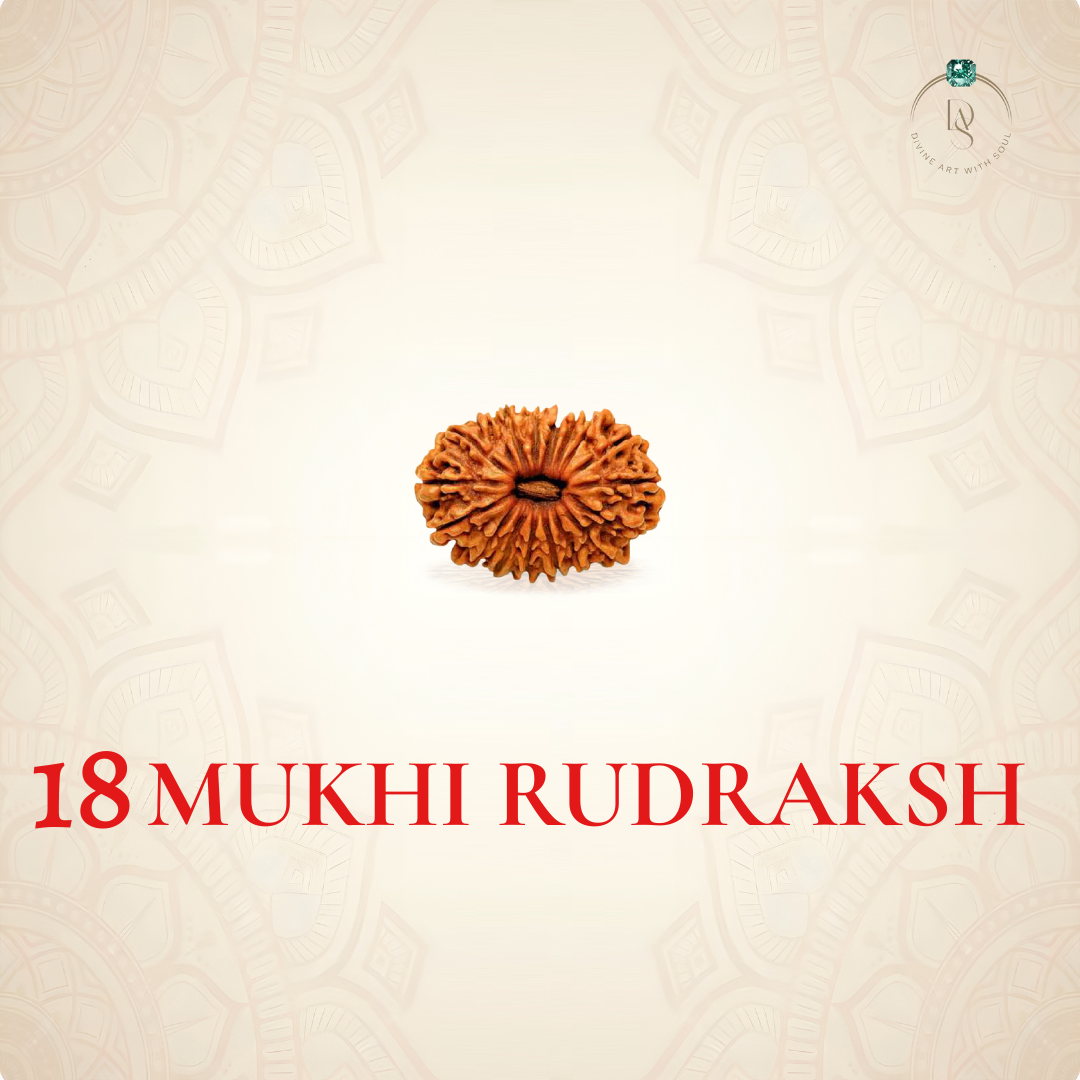 Nepal Origin 18 Mukhi Rudraksha