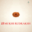 Nepal Origin 18 Mukhi Rudraksha