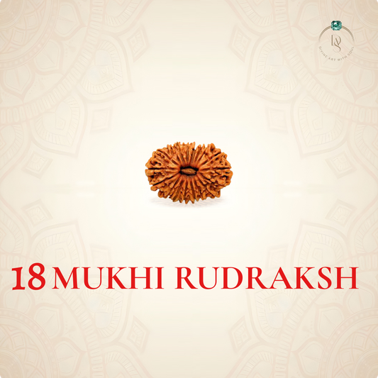 Nepal Origin 18 Mukhi Rudraksha