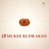 Nepal Origin 18 Mukhi Rudraksha