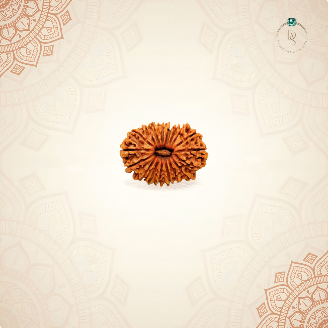 Nepal Origin 18 Mukhi Rudraksha