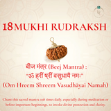 Nepal Origin 18 Mukhi Rudraksha