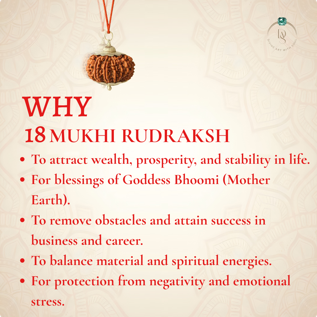 Nepal Origin 18 Mukhi Rudraksha