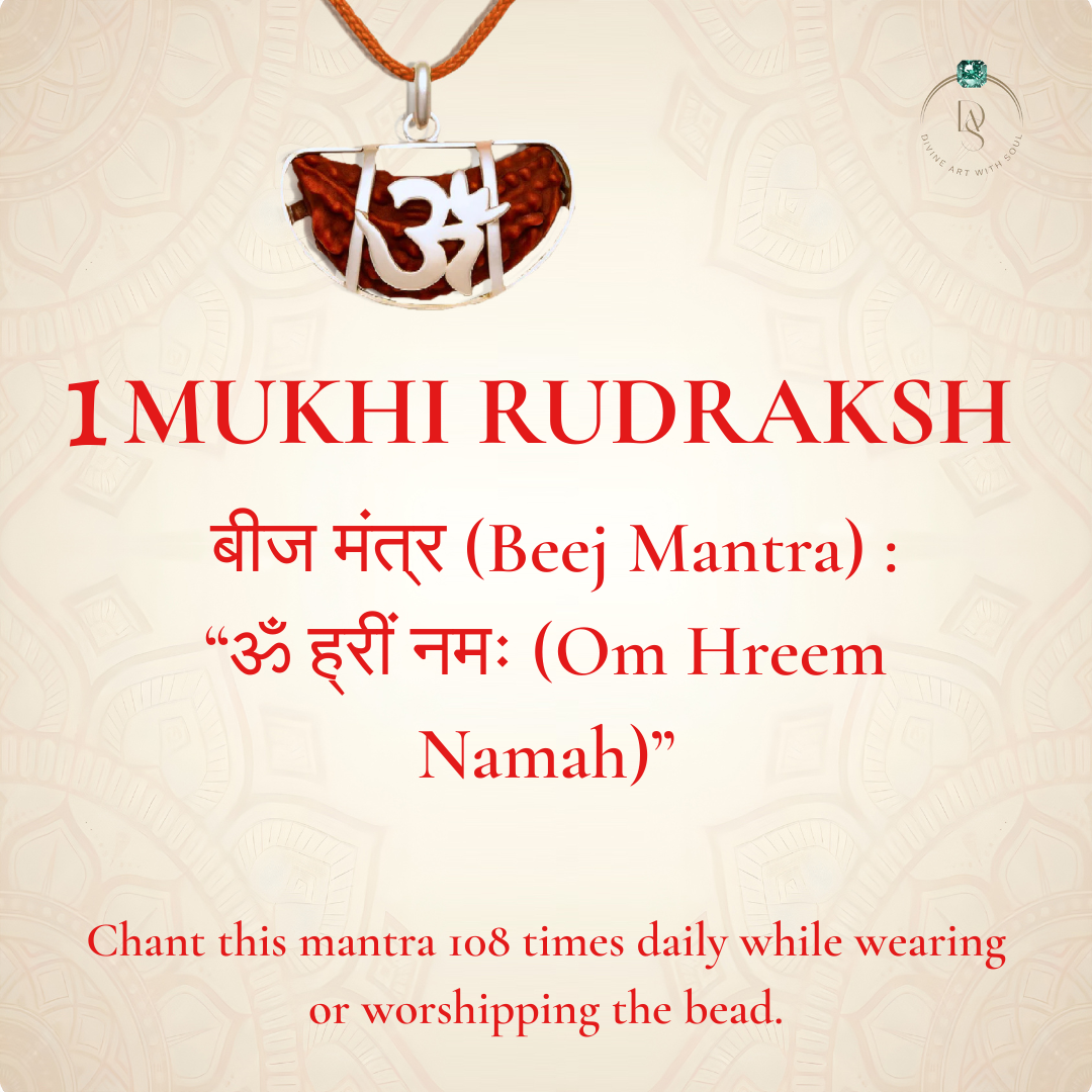 Nepal Origin 1 Mukhi Rudraksha