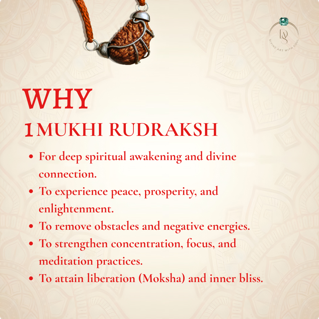 Nepal Origin 1 Mukhi Rudraksha