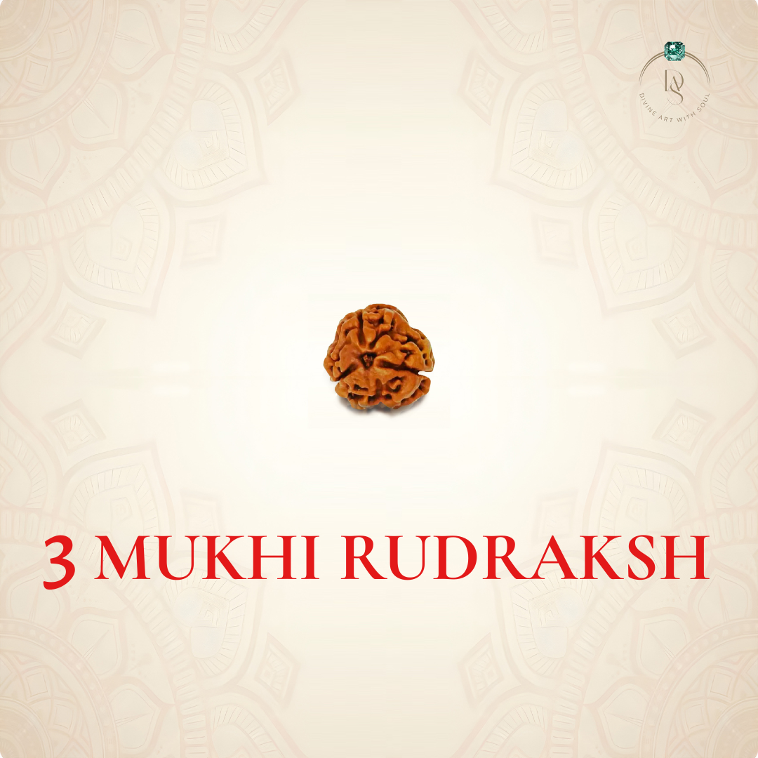 Nepal Origin 3 Mukhi Rudraksha