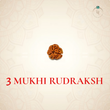 Nepal Origin 3 Mukhi Rudraksha