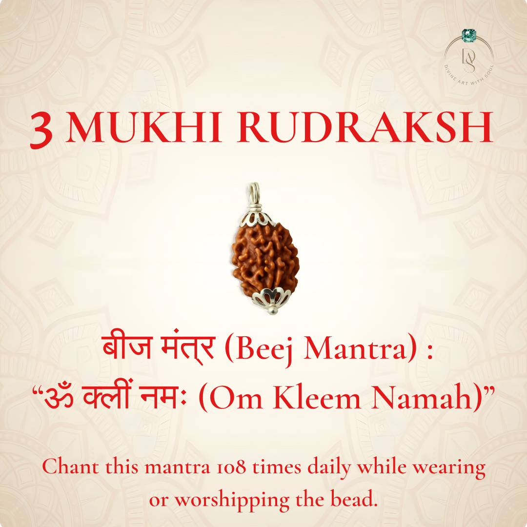 Nepal Origin 3 Mukhi Rudraksha