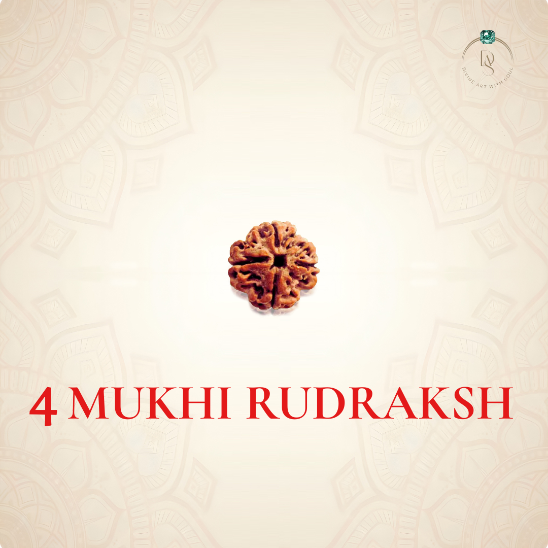 Nepal Origin 4 Mukhi Rudraksha