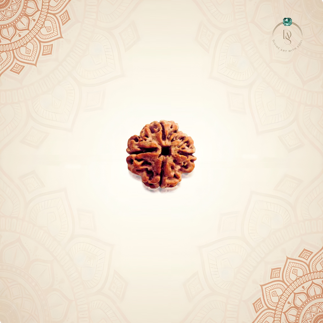 Nepal Origin 4 Mukhi Rudraksha