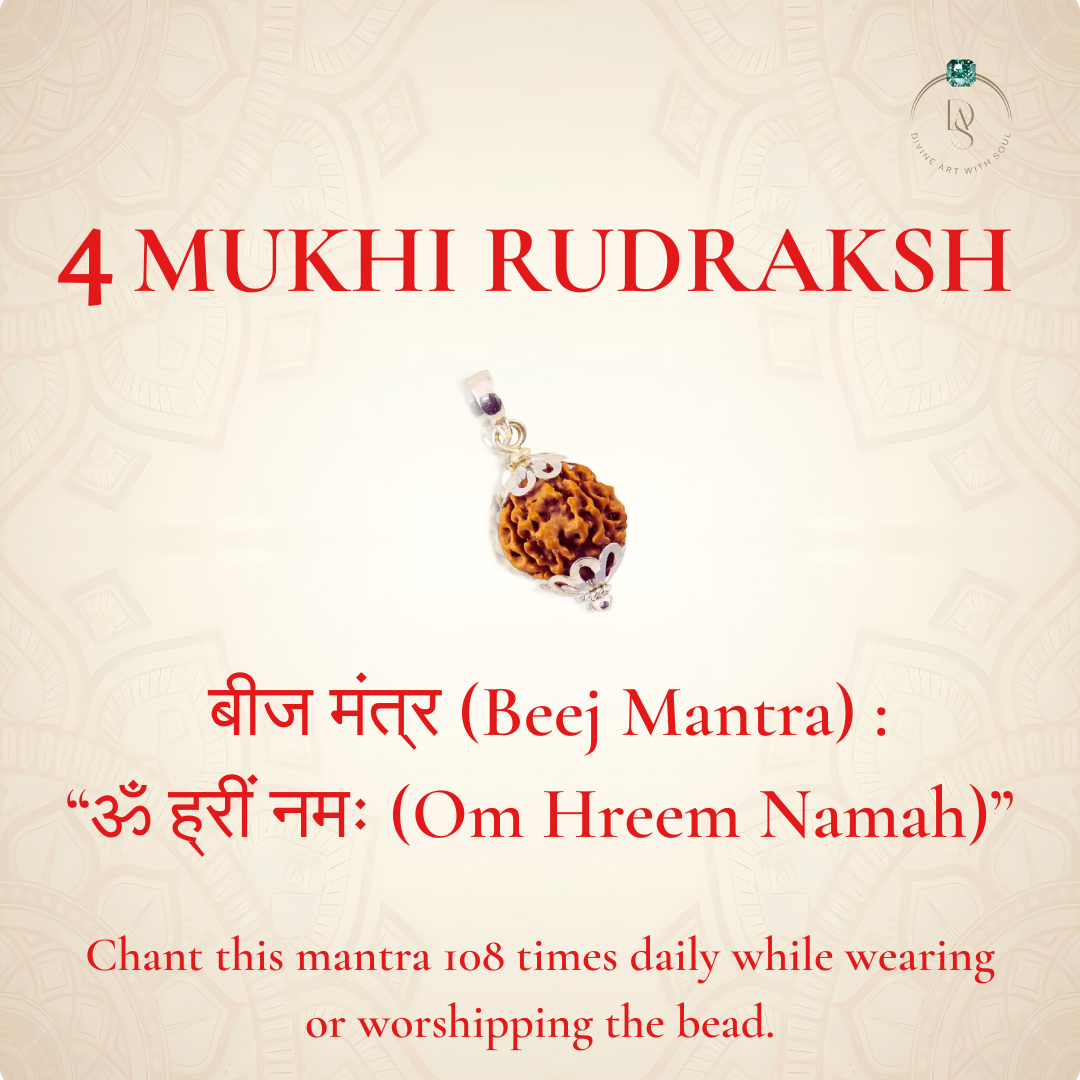 Nepal Origin 4 Mukhi Rudraksha