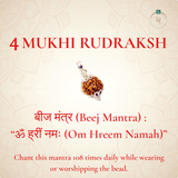 Nepal Origin 4 Mukhi Rudraksha
