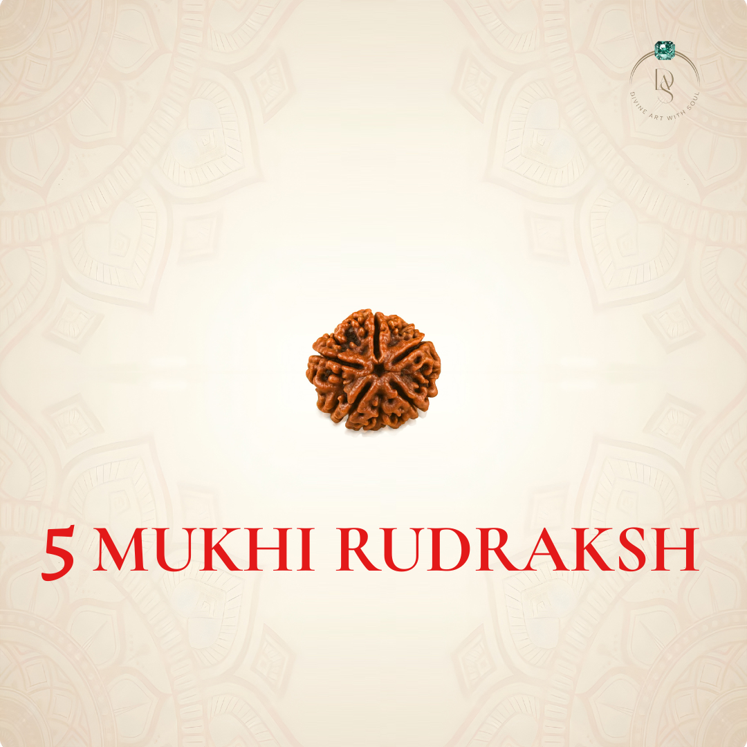 Nepal Origin 5 Mukhi Rudraksha