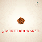 Nepal Origin 5 Mukhi Rudraksha