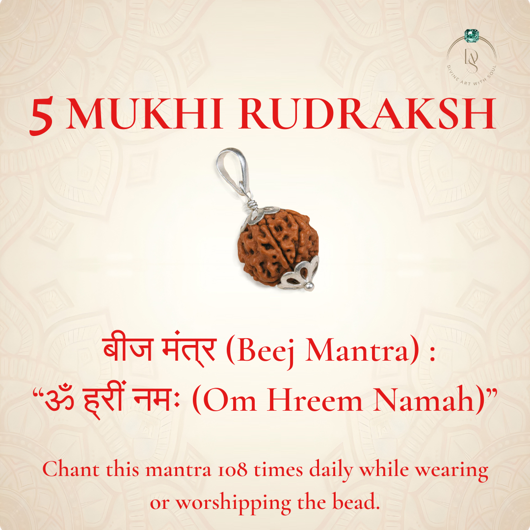Nepal Origin 5 Mukhi Rudraksha