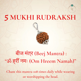 Nepal Origin 5 Mukhi Rudraksha