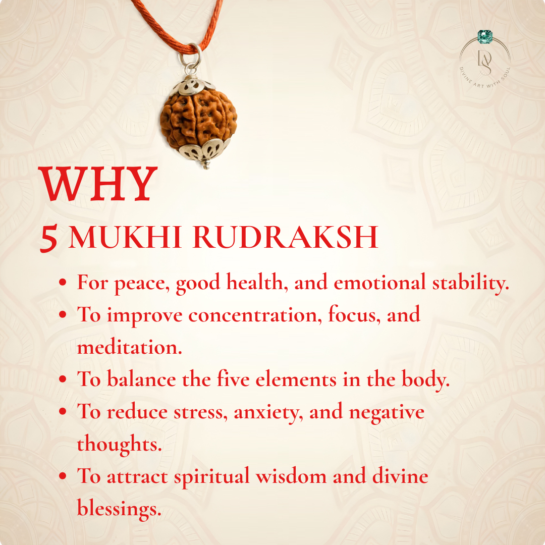Nepal Origin 5 Mukhi Rudraksha