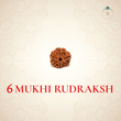 Nepal Origin 6 Mukhi Rudraksha