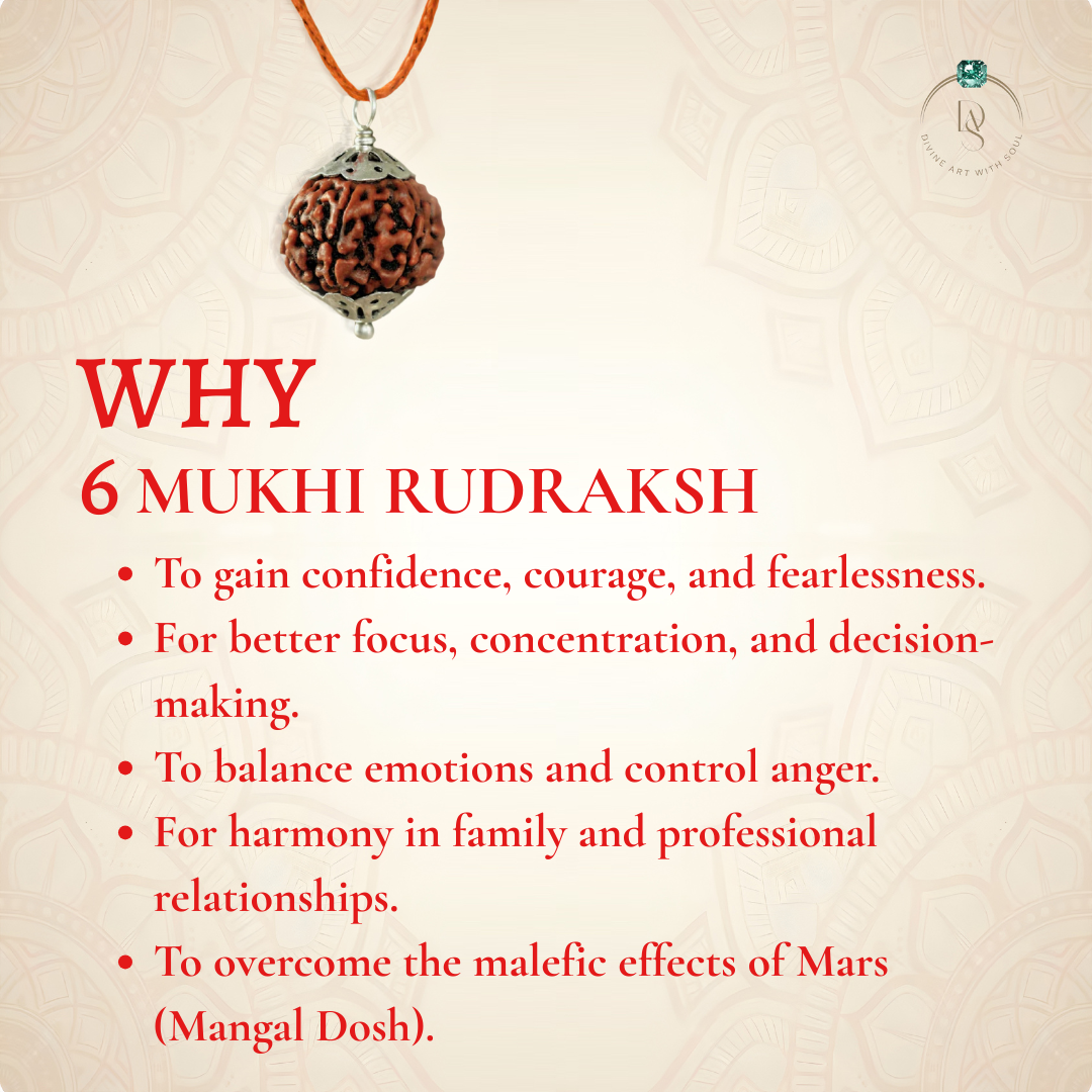 Nepal Origin 6 Mukhi Rudraksha
