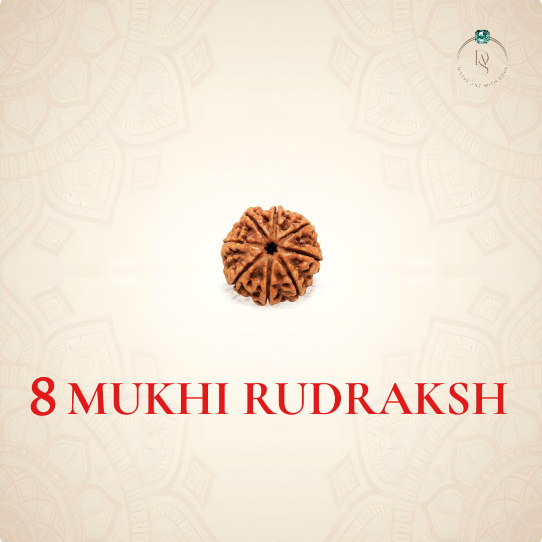 Nepal Origin 8 Mukhi Rudraksha