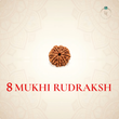 Nepal Origin 8 Mukhi Rudraksha