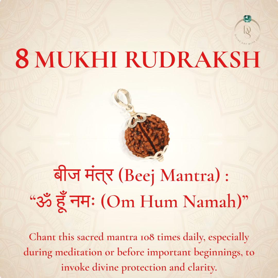 Nepal Origin 8 Mukhi Rudraksha