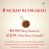 Nepal Origin 8 Mukhi Rudraksha