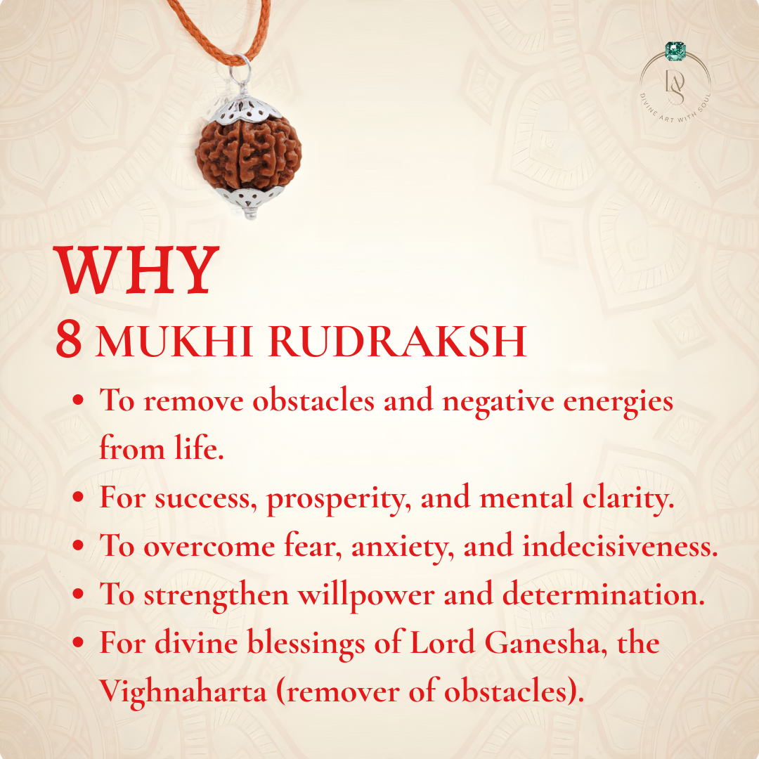 Nepal Origin 8 Mukhi Rudraksha