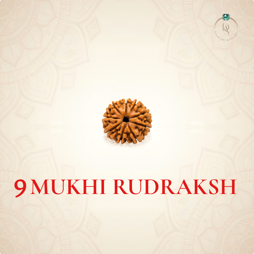 Nepal Origin 9 Mukhi Rudraksha