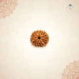 Nepal Origin 9 Mukhi Rudraksha