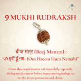 Nepal Origin 9 Mukhi Rudraksha