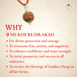 Nepal Origin 9 Mukhi Rudraksha